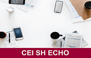 STD ECHO